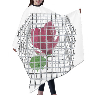 Personality  Red Rose In Birdcage Hair Cutting Cape