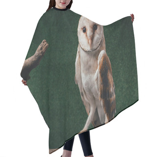 Personality  Cute Wild Barn Owl On Wooden Branch On Green Background Hair Cutting Cape
