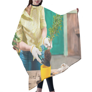 Personality  Cropped View Of Woman Transplanting Plant In New Flowerpot On Porch   Hair Cutting Cape