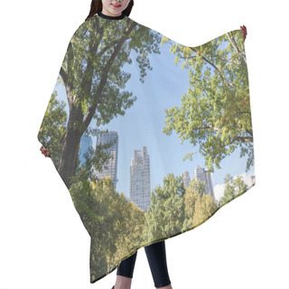 Personality  Urban Scene With Trees In City Park And Skyscrapers In New York, Usa Hair Cutting Cape