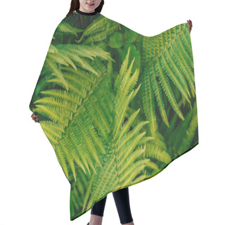 Personality  Green Fern Leaves Texture Hair Cutting Cape