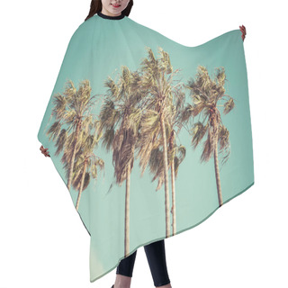 Personality  Palm Tree On Sunny Day With Blue Sky Background. Hair Cutting Cape