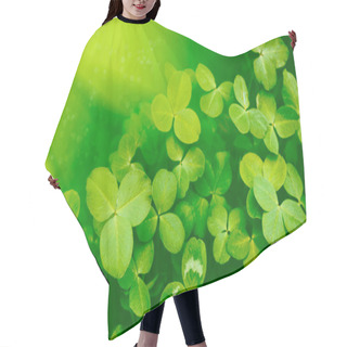 Personality  Green Clover Leaves. St.Patrick 's Day. Spring Natural Background. Hair Cutting Cape
