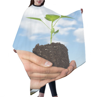 Personality  Man Hands Holding A Green Young Plant. Symbol Of Spring And Ecol Hair Cutting Cape