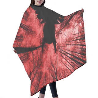 Personality  Ghostly Silhouette In Spooky Dark Forest Hair Cutting Cape