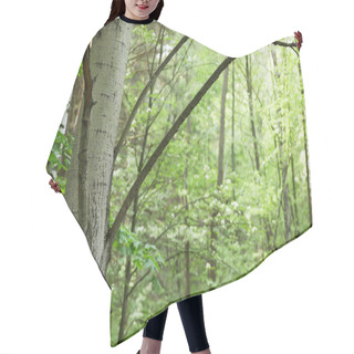 Personality  Birch Trunks And Branches With Green Forest On Background Hair Cutting Cape