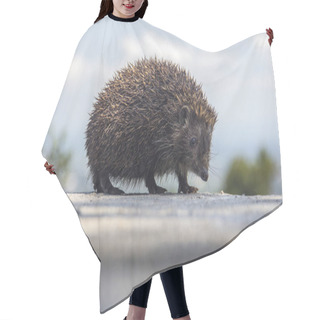 Personality  Young Beautiful Hedgehog Hair Cutting Cape