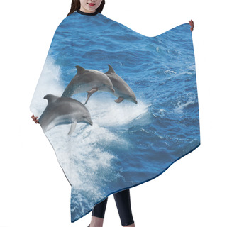 Personality  Three Dolphins Hair Cutting Cape