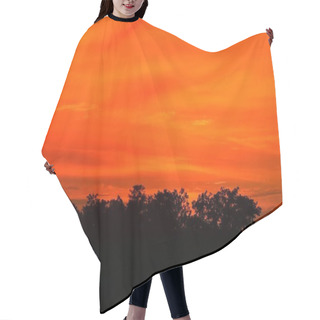 Personality  Sunset Beautiful Colorful Landscape And Silhouette Tree In Sky Twilight Time Hair Cutting Cape