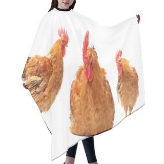 Personality  Red Roosters Hair Cutting Cape