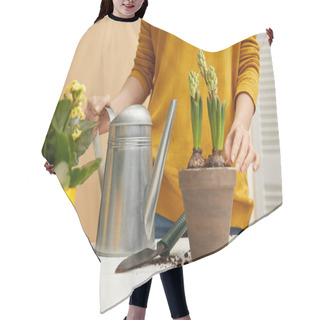 Personality  Partial View Of Woman Holding Watering Can And Touching Hyacinth In Clay Flowerpot  Hair Cutting Cape