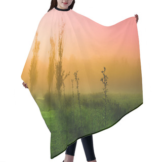 Personality  Mystical Morning Hair Cutting Cape