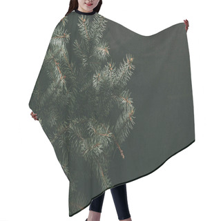 Personality  Green Fir Branches On Dark Background Hair Cutting Cape