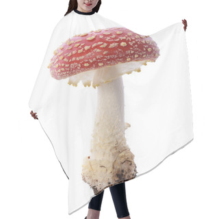Personality  Red Mushroom Hair Cutting Cape