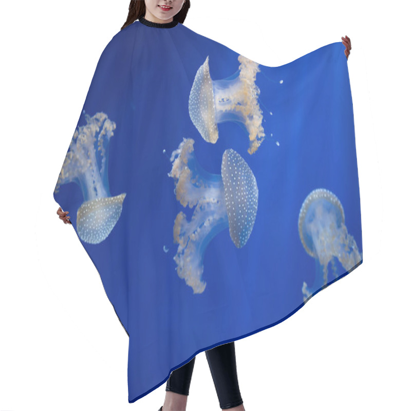 Personality  White-spotted Jellyfish (Phyllorhiza Punctata). Hair Cutting Cape