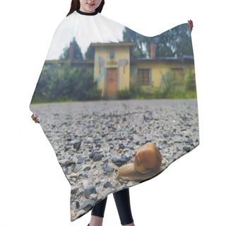 Personality  A Roman Snail Is Walking In Front Of A Ruined House Hair Cutting Cape