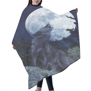 Personality  European Wolf, Canis Lupus, Adult Baying At The Moon   Hair Cutting Cape