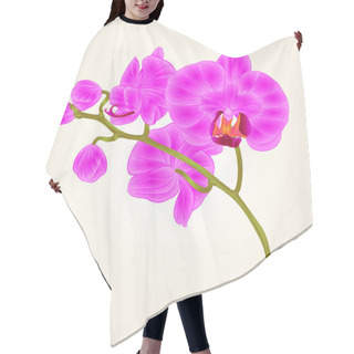 Personality  Branches Orchid Phalaenopsis Purple Flowers Tropical Plants Green Stem And Buds  Vintage Hand Draw Vector  Hair Cutting Cape