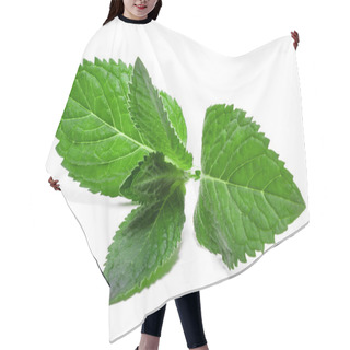 Personality  Fresh Mint Leaf Isolated On A White Background Hair Cutting Cape