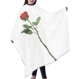 Personality  One Rose Hair Cutting Cape
