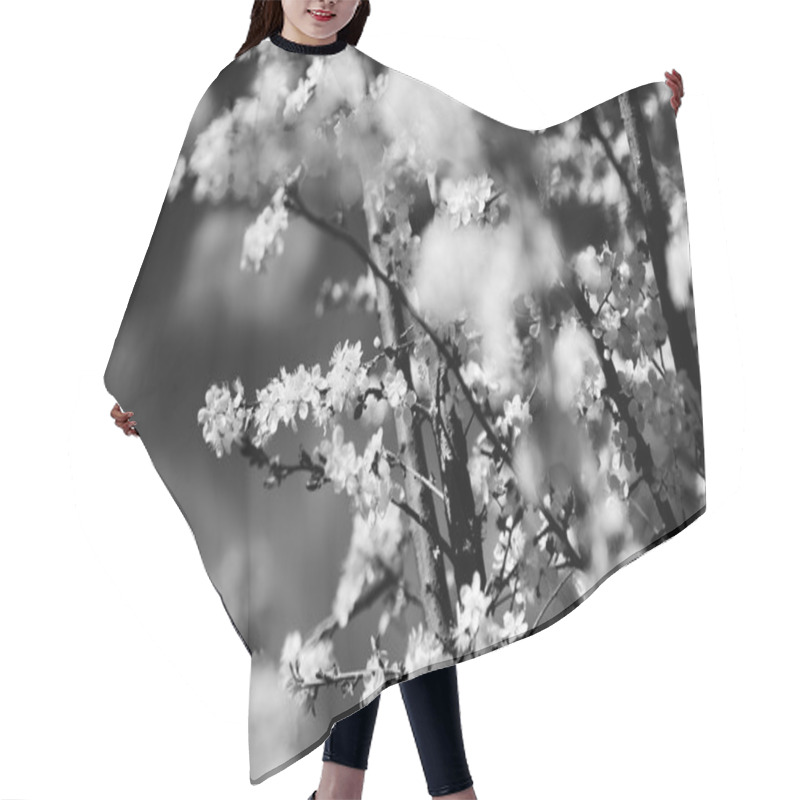 Personality  Vintage Cherry Blossom. Antique Style Photo Of Tree Flowers With Grunge Old Paper Pattern. Hair Cutting Cape