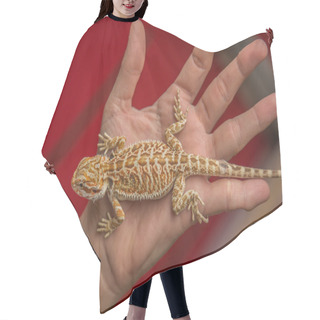 Personality  Beby Pogona On Hand Hair Cutting Cape