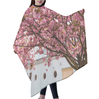 Personality  Branches Of Blossoming Pink Flowers On Cherry Tree Near Building On Street Hair Cutting Cape