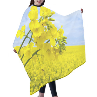 Personality  Flowering Oilseed Rape Hair Cutting Cape