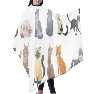 Personality  Cute Cats Of Different Breeds Set, Funny Red, Grey Or Brown Pet Sitting, Lazy Kitty Lying Hair Cutting Cape