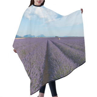 Personality  Beautiful Blooming Lavender Flowers And Distant Mountains In Provence, France Hair Cutting Cape