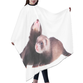 Personality  Little Ferret Babies Hair Cutting Cape