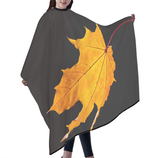Personality  Beautiful Falling Yellow Maple Leaf Isolated On Black Hair Cutting Cape