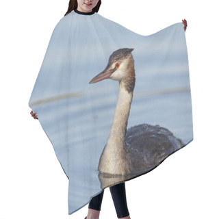 Personality  Great Crested Grebe Hair Cutting Cape