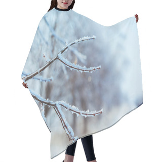 Personality  Frosty Tree Branch In Winter Hair Cutting Cape