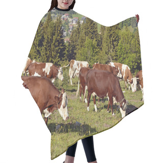 Personality  Cows Grazing In The Alps French Hair Cutting Cape