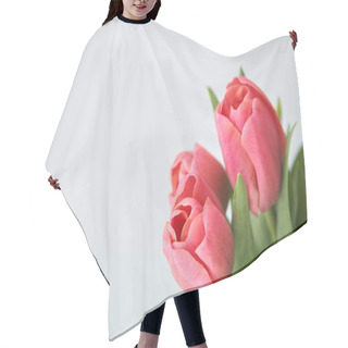 Personality  Spring Blooming Pink Tulips With Green Leaves Isolated On White Hair Cutting Cape