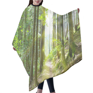 Personality  Path Through Green Trees In Forest Hair Cutting Cape