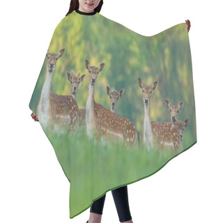 Personality  Fallow Deer Family - Doe Mothers And Fawn Babies Hair Cutting Cape