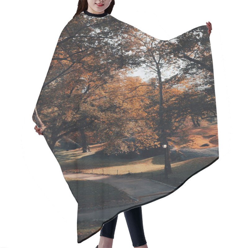 Personality  Central Park with walkways and autumn trees in New York City  hair cutting cape