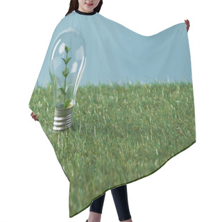 Personality   Light Bulb With Plant On Green Grass And Blue Background Hair Cutting Cape