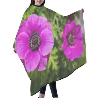 Personality  Purple Poppy Head Or Anenome Flower Close-up View Hair Cutting Cape