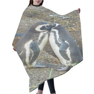 Personality  Magellanic Penguins On The Islands Of Tierra Del Fuego Patagonia Hair Cutting Cape