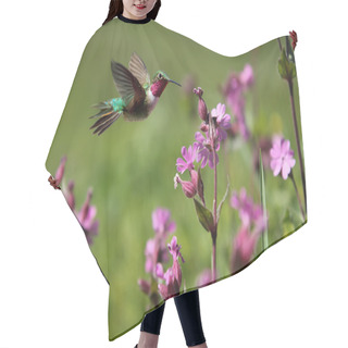 Personality  Ruby-throated Hummingbird And Pink Summer Flowers  Hair Cutting Cape