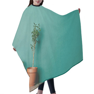 Personality  Two Plants In Flowerpots On Green Background Hair Cutting Cape