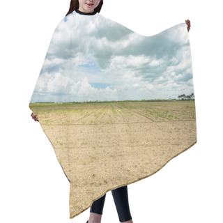 Personality  Landscape View Of A Barren Agriculture Field. Hair Cutting Cape