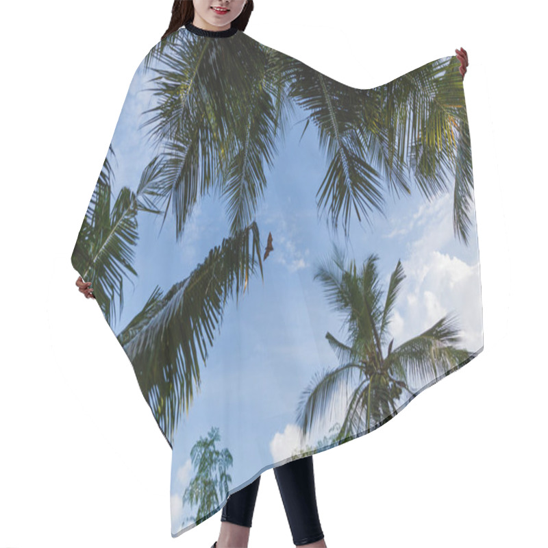 Personality  palm trees hair cutting cape