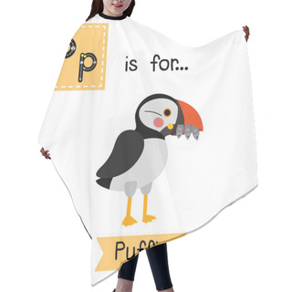 Personality  Letter P Tracing. Puffin Bird. Hair Cutting Cape