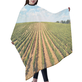 Personality  Agriculture Hair Cutting Cape