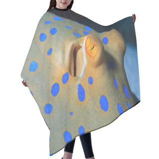 Personality  Bluespotted Ribbontal Stingray Hair Cutting Cape