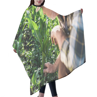 Personality  Cropped View Of Self-employed Farmer Sitting Near Green Corn Field  Hair Cutting Cape